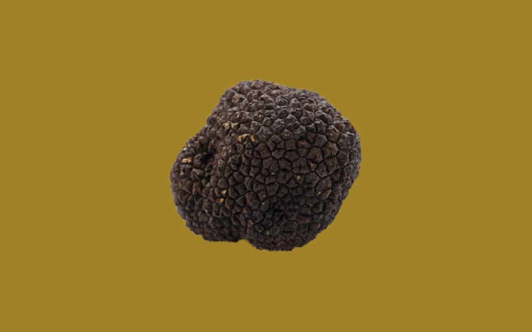 TrufGourmet Web