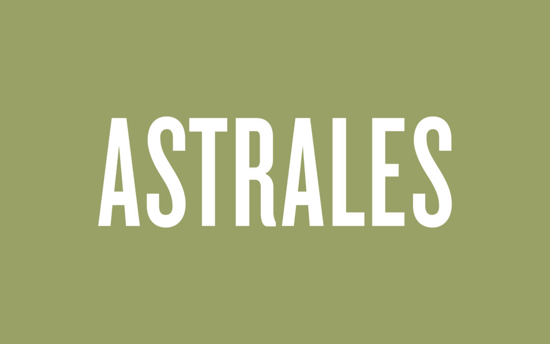 Diseño web para Bodegas Los Astrales